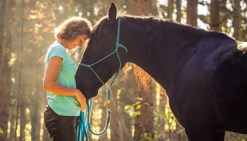 Sabine Junginger steht Stirn an Stirn mit ihrem schwarzen Pferd im warmen Waldlicht